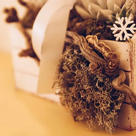 Casa vacanze La Teresina Homes *