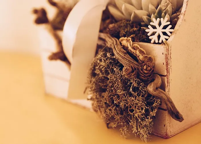 Casa de Férias La Teresina Homes *